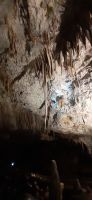 Höhle von Postojna &ndash; &copy; Kerstin Hugel (Eberhardt TRAVEL)