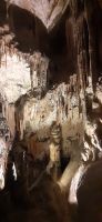 Höhle von Postojna &ndash; &copy; Kerstin Hugel (Eberhardt TRAVEL)