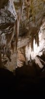 Höhle von Postojna &ndash; &copy; Kerstin Hugel (Eberhardt TRAVEL)