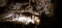 Höhle von Postojna &ndash; &copy; Kerstin Hugel (Eberhardt TRAVEL)