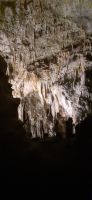 Höhle von Postojna &ndash; &copy; Kerstin Hugel (Eberhardt TRAVEL)
