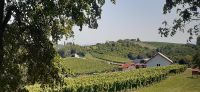 Weinstraße Jeruzalem &ndash; &copy; Kerstin Hugel (Eberhardt TRAVEL)