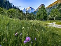 Almwiese in Kranjska Gora &ndash; &copy; Simone Willner (Eberhardt TRAVEL)