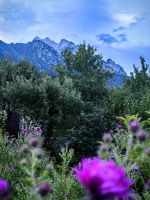 Morgens in Kranjska Gora &ndash; &copy; Simone Willner (Eberhardt TRAVEL)
