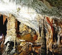 In der Höhle von Postojna &ndash; &copy; Simone Willner (Eberhardt TRAVEL)