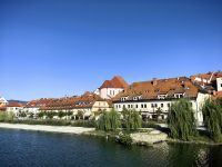 Maribor, Blick auf die älteste Weinrebe der Welt &ndash; &copy; Simone Willner (Eberhardt TRAVEL)