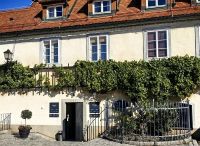 Stara Trta, die älteste Weinrebe der Welt in Maribor &ndash; &copy; Simone Willner (Eberhardt TRAVEL)