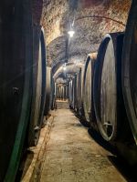 Die riesigen Fässer sind leider alle leer, Ptuj &ndash; &copy; Simone Willner (Eberhardt TRAVEL)