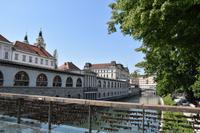 060 Ljubljana, Markthallen &ndash; &copy; Konrad Füssel (Eberhardt TRAVEL)