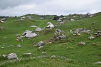 177 Velika Planina &ndash; &copy; Konrad Füssel (Eberhardt TRAVEL)