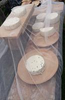 Der unwiderstehliche Bergkäse &ndash; &copy; Simone Willner (Eberhardt TRAVEL)
