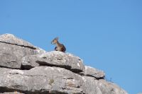im Torcal &ndash; &copy; Andreas Böcker (Eberhardt TRAVEL)