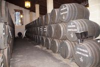 in der Bodega