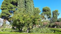 Granada Alhambra &ndash; &copy; Sinah Witzig (Eberhardt TRAVEL)