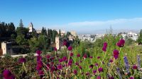 Granada Alhambra &ndash; &copy; Sinah Witzig (Eberhardt TRAVEL)