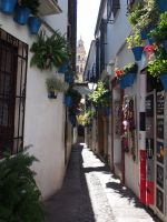 Córdoba &ndash; &copy; Sinah Witzig (Eberhardt TRAVEL)
