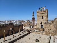 043-Carmona Alcazar