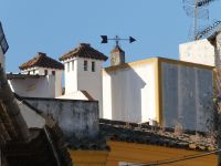 Dachszene &ndash; &copy; Gina Egenolf (Eberhardt TRAVEL)