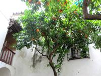 Jüdisches Viertel &ndash; &copy; Dörte Dürfeld (Eberhardt TRAVEL)