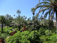 Alcazar &ndash; &copy; Dörte Dürfeld (Eberhardt TRAVEL)