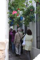 Straße in Córdoba &ndash; &copy; Marcus Richter (Eberhardt TRAVEL)