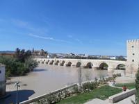 Römer-Brücke in Cordoba &ndash; &copy; Ingrid Langer (Eberhardt TRAVEL)
