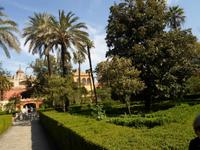 in Sevilla &ndash; &copy; Barbara Pflicke (Eberhardt TRAVEL)