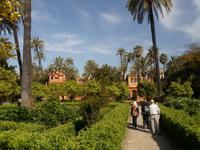 in Sevilla &ndash; &copy; Barbara Pflicke (Eberhardt TRAVEL)