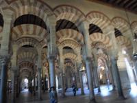 in Cordoba &ndash; &copy; Barbara Pflicke (Eberhardt TRAVEL)