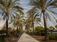 in Valencia &ndash; &copy; Barbara Pflicke (Eberhardt TRAVEL)