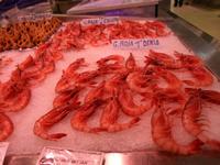 in Valencia &ndash; &copy; Barbara Pflicke (Eberhardt TRAVEL)