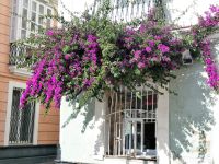 wo ist der Stamm? &ndash; &copy; Gina Egenolf (Eberhardt TRAVEL)