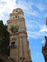 Kathedrale von Malaga &ndash; &copy; Sylvia Ott (Eberhardt TRAVEL)