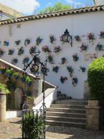 in Cordoba &ndash; &copy; Sylvia Ott (Eberhardt TRAVEL)