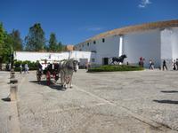 in Ronda