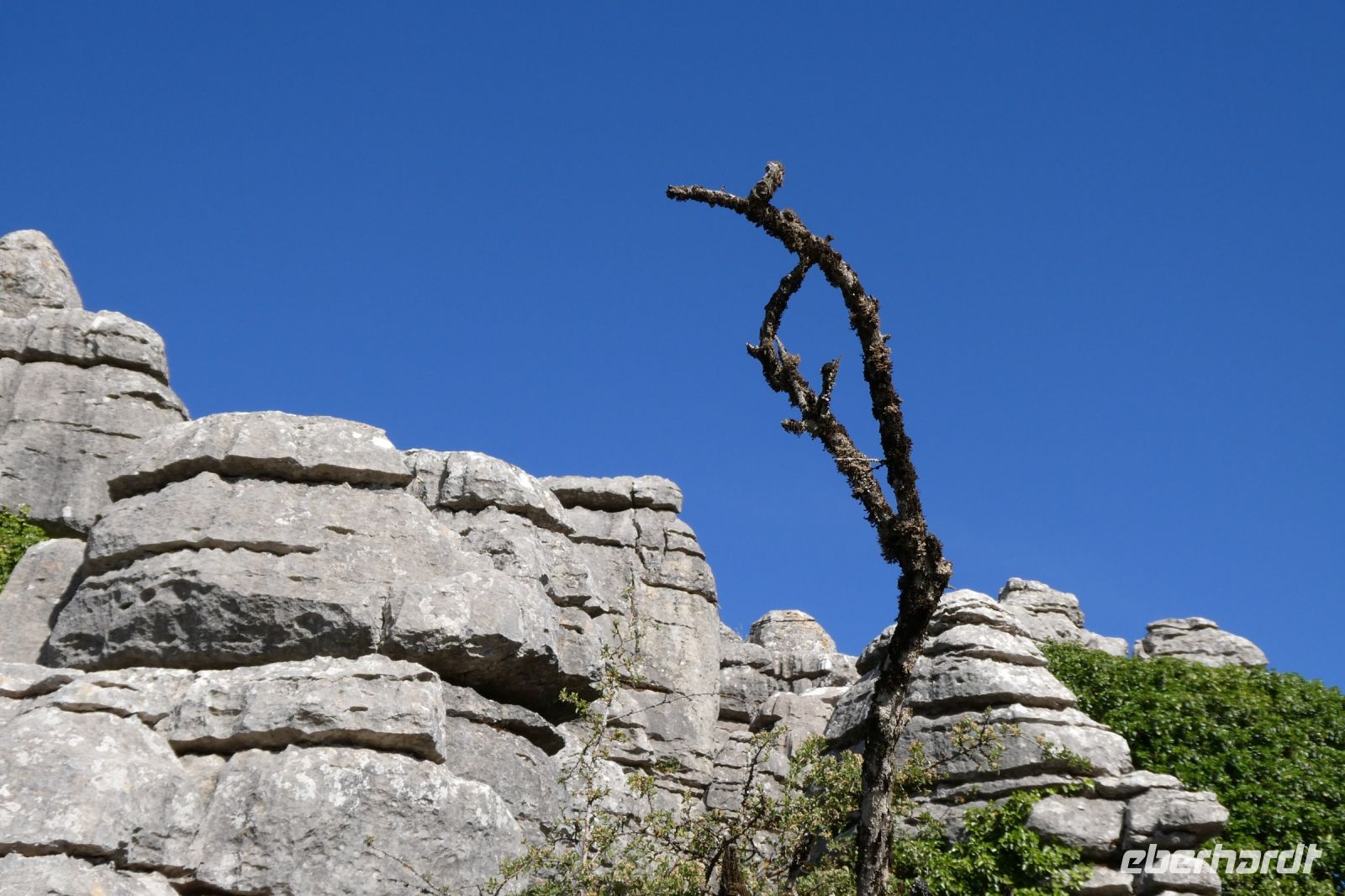 Natur als Künstler &ndash; &copy; Gina Egenolf (Eberhardt TRAVEL)