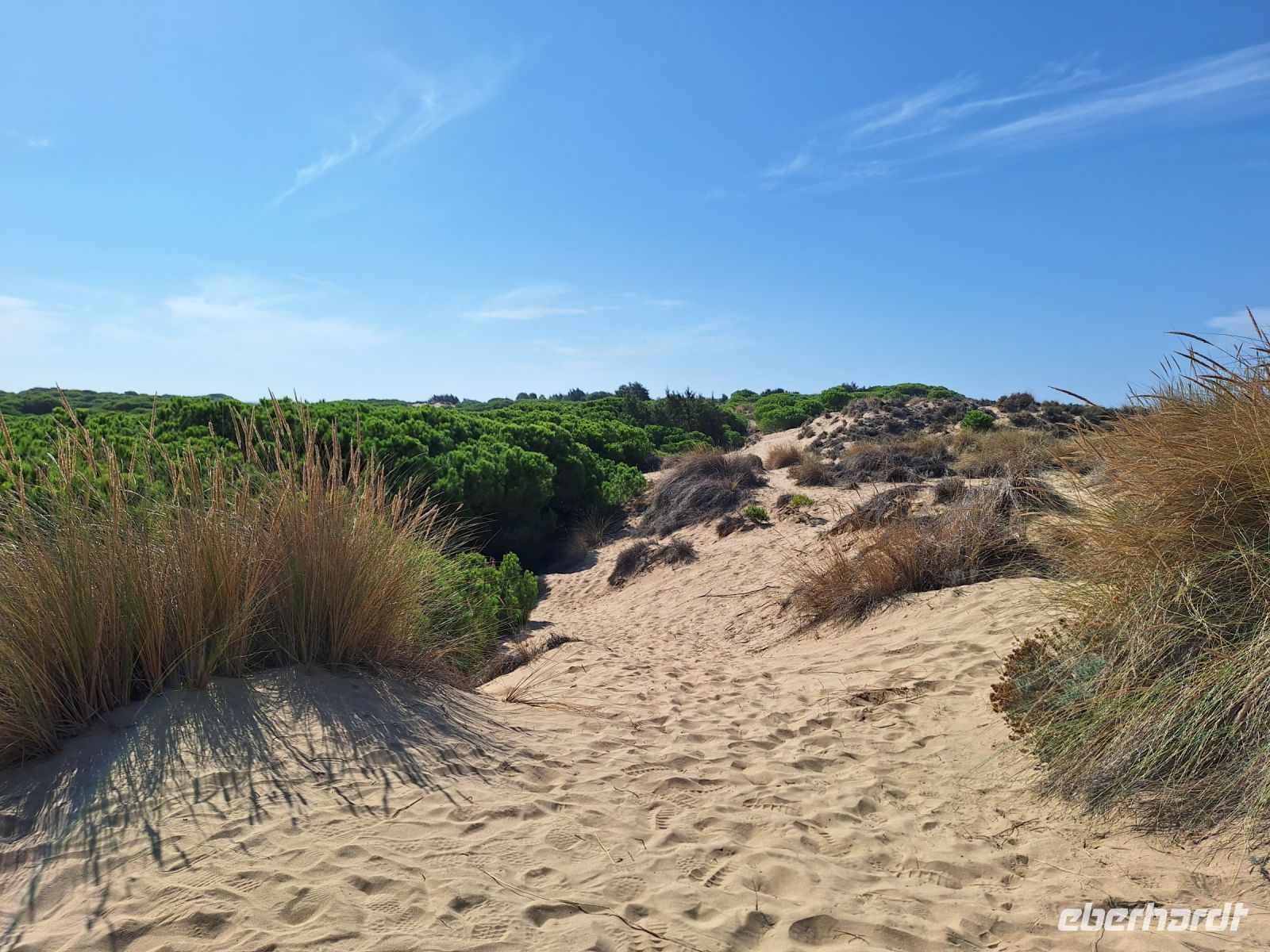 Nationalpark Donana &ndash; &copy; Sinah Witzig (Eberhardt TRAVEL)