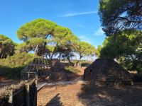 Nationalpark Donana &ndash; &copy; Sinah Witzig (Eberhardt TRAVEL)
