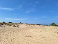 Nationalpark Donana &ndash; &copy; Sinah Witzig (Eberhardt TRAVEL)