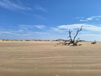 Nationalpark Donana &ndash; &copy; Sinah Witzig (Eberhardt TRAVEL)