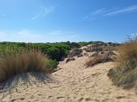 Nationalpark Donana