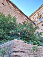 Granada: Alhambra &ndash; &copy; Sinah Witzig (Eberhardt TRAVEL)