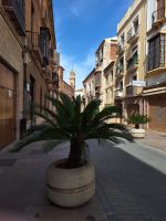 Antequera &ndash; &copy; Sinah Witzig (Eberhardt TRAVEL)