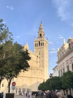 Sevilla_Blick auf Giralda.JPG &ndash; &copy; Birgit Kirchner (Eberhardt TRAVEL)