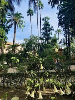 jardin del Alcazar.jpg &ndash; &copy; Birgit Kirchner (Eberhardt TRAVEL)