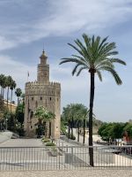 Sevilla - Torre de Oro.jpg &ndash; &copy; Birgit Kirchner (Eberhardt TRAVEL)