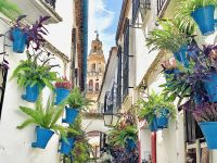 Cordoba.jpg &ndash; &copy; Birgit Kirchner (Eberhardt TRAVEL)