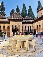 Alhambra - Löwenhof.jpg &ndash; &copy; Birgit Kirchner (Eberhardt TRAVEL)