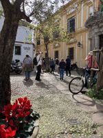 Spanien, Córdoba, Spaziergang im Jüdischen Viertel &ndash; &copy; Sabine C. Seifert (Eberhardt TRAVEL)