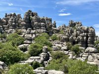 Nationalpark El Torcal &ndash; &copy; Birgit Kirchner (Eberhardt TRAVEL)